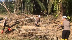 IMG 20260128 WA0023 copy 1280x768