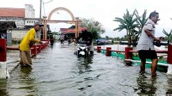 Bengawan Jero Meluap, 27 Desa di Lamongan Terendam: Ribuan Rumah dan Tambak Lumpuh