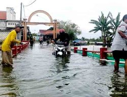 Bengawan Jero Meluap, 27 Desa di Lamongan Terendam: Ribuan Rumah dan Tambak Lumpuh