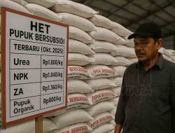 Sidang Gugatan Citizen Law Suit (CLS) pupuk subsidi di Tuban memasuki tahap mediasi