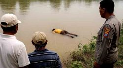 Misteri Bengawan Solo: Satpam Hilang Ditemukan Tewas Mengambang