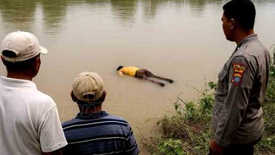 Misteri Bengawan Solo