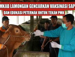 Pemkab Lamongan Gencarkan Vaksinasi Sapi dan Edukasi Peternak untuk Tekan PMK