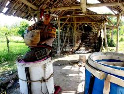 Polsek Brondong Gerebek Sabung Ayam di Sawah Sumberagung