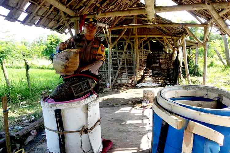 Polsek Brondong Gerebek Sabung Ayam