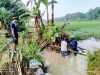 Ratusan Hektar Sawah Terendam, Petani Gunungrejo Terancam Gagal Panen