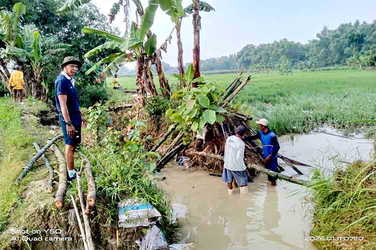 Ratusan Hektar Sawah Terendam