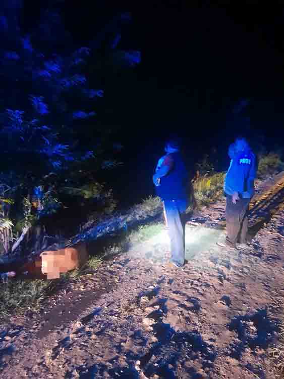 Respon Cepat dan Kesigapan