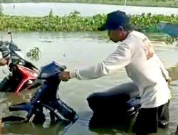 Dua Bulan Terendam, Desa Bojoasri Lamongan Nyaris Terisolasi
