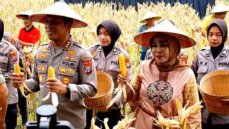 Wabup Sidoarjo Bersama Gubernur Jatim dan Forkopimda Panen Raya Jagung Kuartal I 2026 di Desa Kedensari