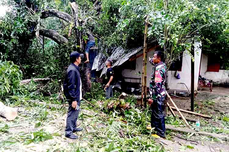 Dengan Sigap, Babinsa Bantu Bersihkan Rumah Warga