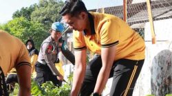 IMG 20260206 WA0006 copy 1036x621