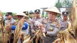 Polres Malang Panen Raya Jagung, Hasil 8 Ton untuk Dukung Stok Pangan