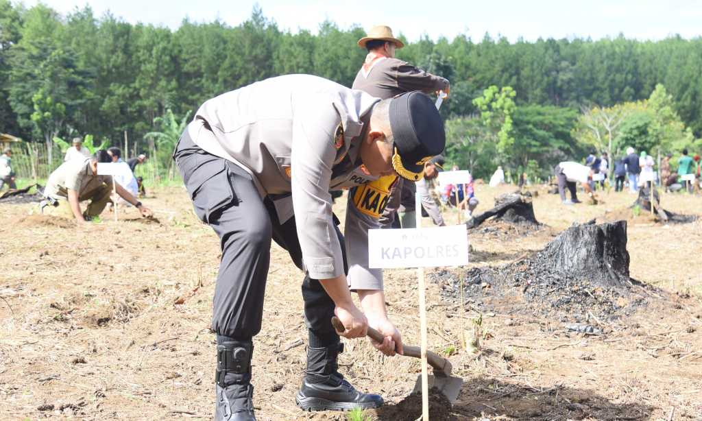 IMG 20260212 WA0009 copy 2048x1228