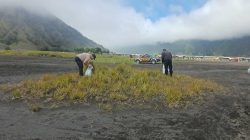 Gerakan Indonesia Asri, Polres Probolinggo Bersih – bersih Lokasi Wisata Bromo