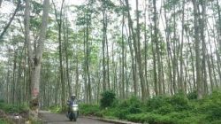 IMG 20260220 WA0005 copy 832x499