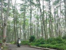 TMMD ke-127 Kodim 0809/Kediri Bangun Jalan Tembus 1,657 Meter, Progres 60 Persen