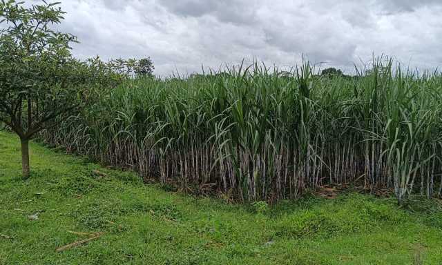 IMG 20260225 WA0035 copy 1280x768