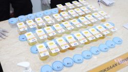 IMG 20260225 WA0059 copy 2496x1498