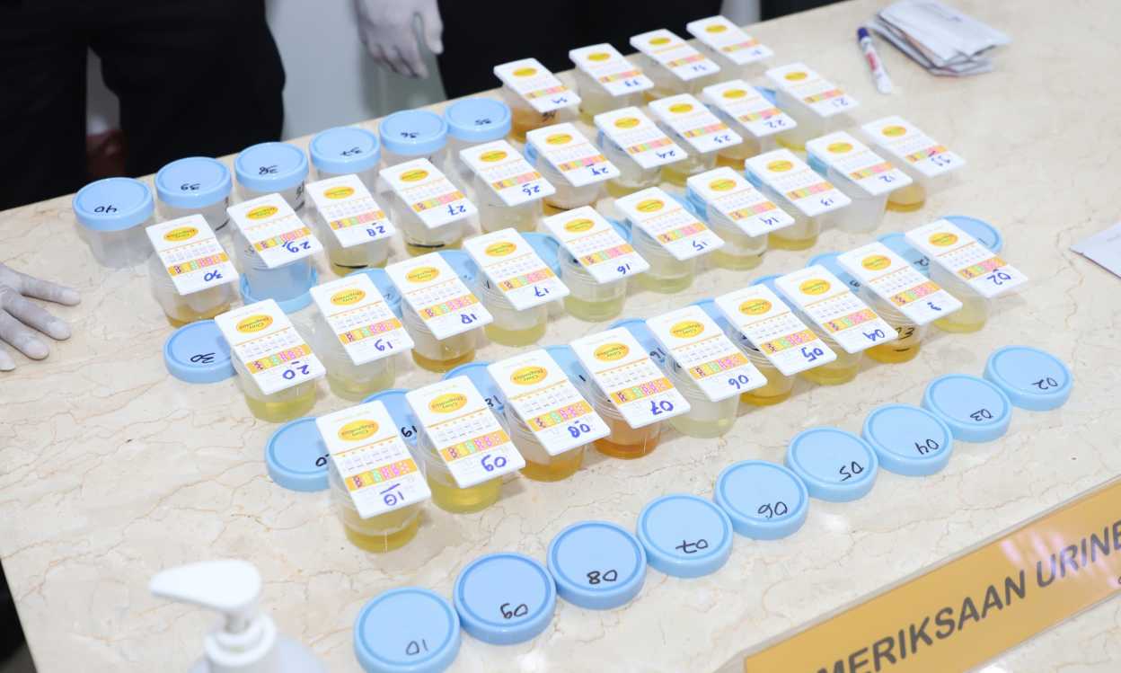 IMG 20260225 WA0059 copy 2496x1498