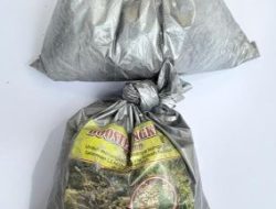 Operasi Pekat Polres Batu Sita Bahan Peledak Amankan 2 Orang Pembuat Mercon