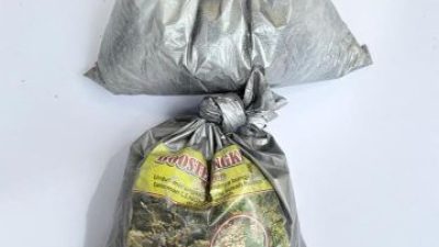 IMG 20260228 WA0020 copy 720x432