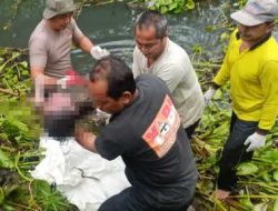 Pencarian Tiga Hari, Polisi Berhasil Temukan Bocah Lima Tahun Meninggal di Kolam Enceng Gondok Desa Maesan Mojo Kediri