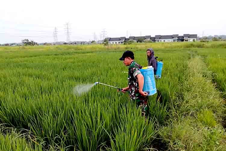 Kodim 0817 Gresik Maksimalkan