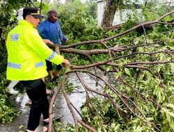 Polres Lamongan Hadir untuk Masyarakat, Respon Cepat 110 Pohon Tumbang hingga Evakuasi Dampak Puting Beliung