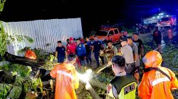 Respon Cepat Call Center