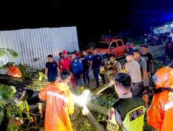 Respon Cepat Call Center 110, Polres Lamongan Evakuasi Mobil Tertimpa Pohon di Jalur Babat–Surabaya