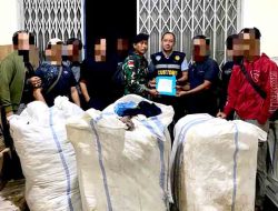 Sinergitas Aparat Gagalkan Ballpress Ilegal di Perbatasan Utara Kalimantan