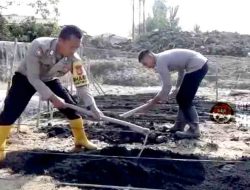 Taruna Akpol Pulihkan Ketahanan Pangan dan UMKM Warga Aceh Tamiang Lewat Pekarangan Pangan Lestari