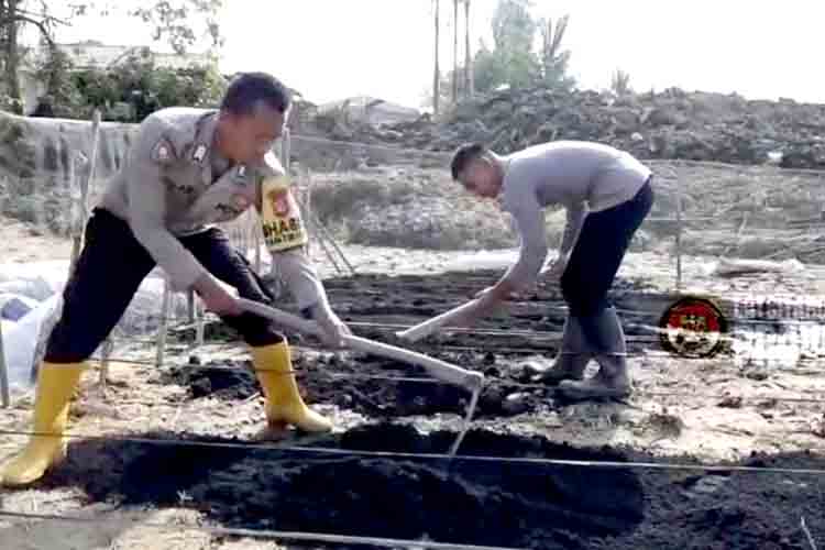 Taruna Akpol Pulihkan Ketahanan Pangan dan UMKM Warga Aceh