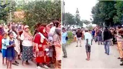 AMPP dan LSM Harimau Demo