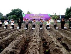 Ambil Peran Strategis Ketahanan Pangan, Polres Kediri Polda Jatim Tanam Raya 3.000 Bibit Uwi Ungu