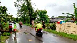 Diterjang Angin Kencang