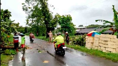 Diterjang Angin Kencang