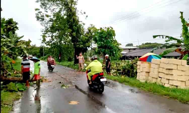 Diterjang Angin Kencang