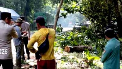 Hujan Disertai Angin Kencang,