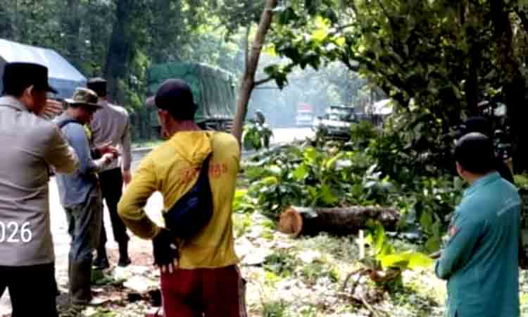 Hujan Disertai Angin Kencang,