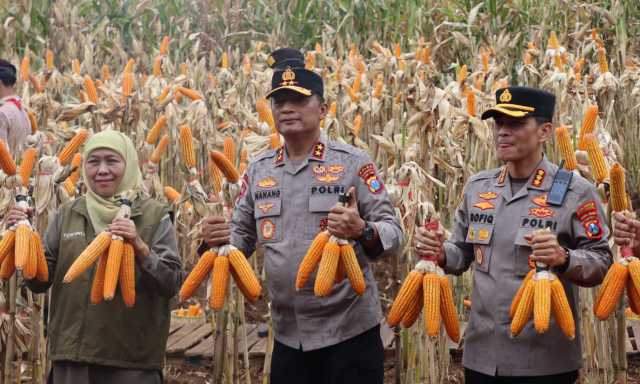 IMG 20260301 WA0019 copy 1280x768