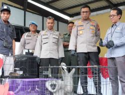 Polresta Sidoarjo Ungkap Perdagangan Ilegal Satwa Lindung Jaringan Internasional