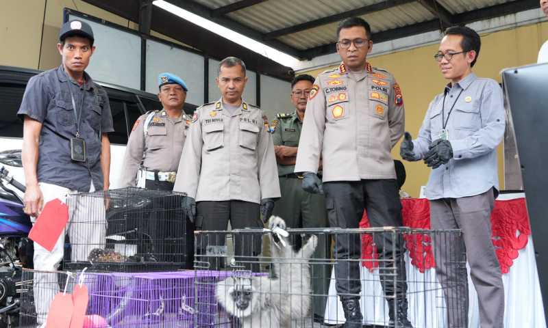 IMG 20260306 WA0025 copy 1600x960