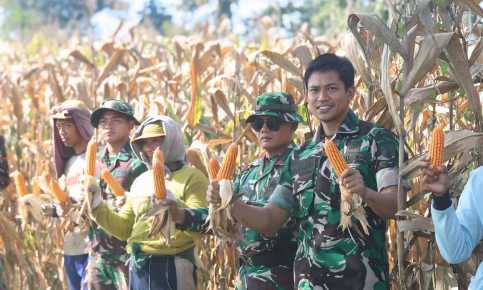 IMG 20260307 WA0012 copy 965x579