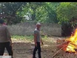 Respon Aduan Warga, Polisi Bongkar Lokasi Diduga Sabung Ayam di Kediri