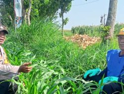 Dukung Ketahanan Pangan, Kanit Binmas Polsek Papar Aktif Lakukan Pendampingan Kelompok Tani