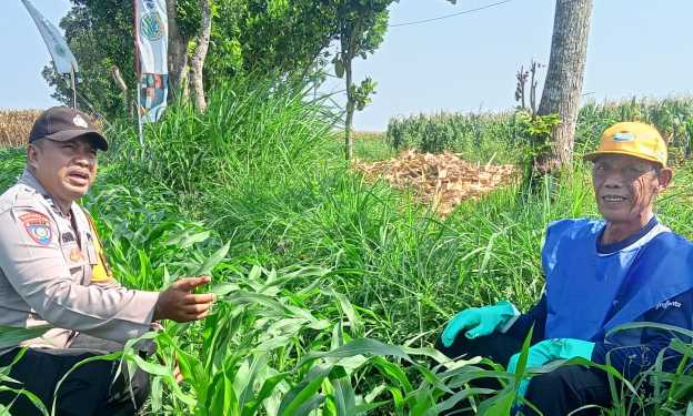 IMG 20260328 WA0005 copy 1248x749