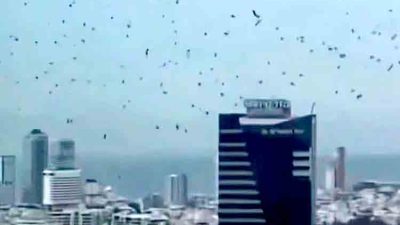 Langit Tel Aviv Diselimuti Gagak