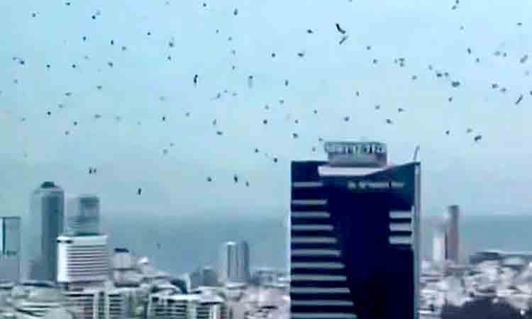 Langit Tel Aviv Diselimuti Gagak